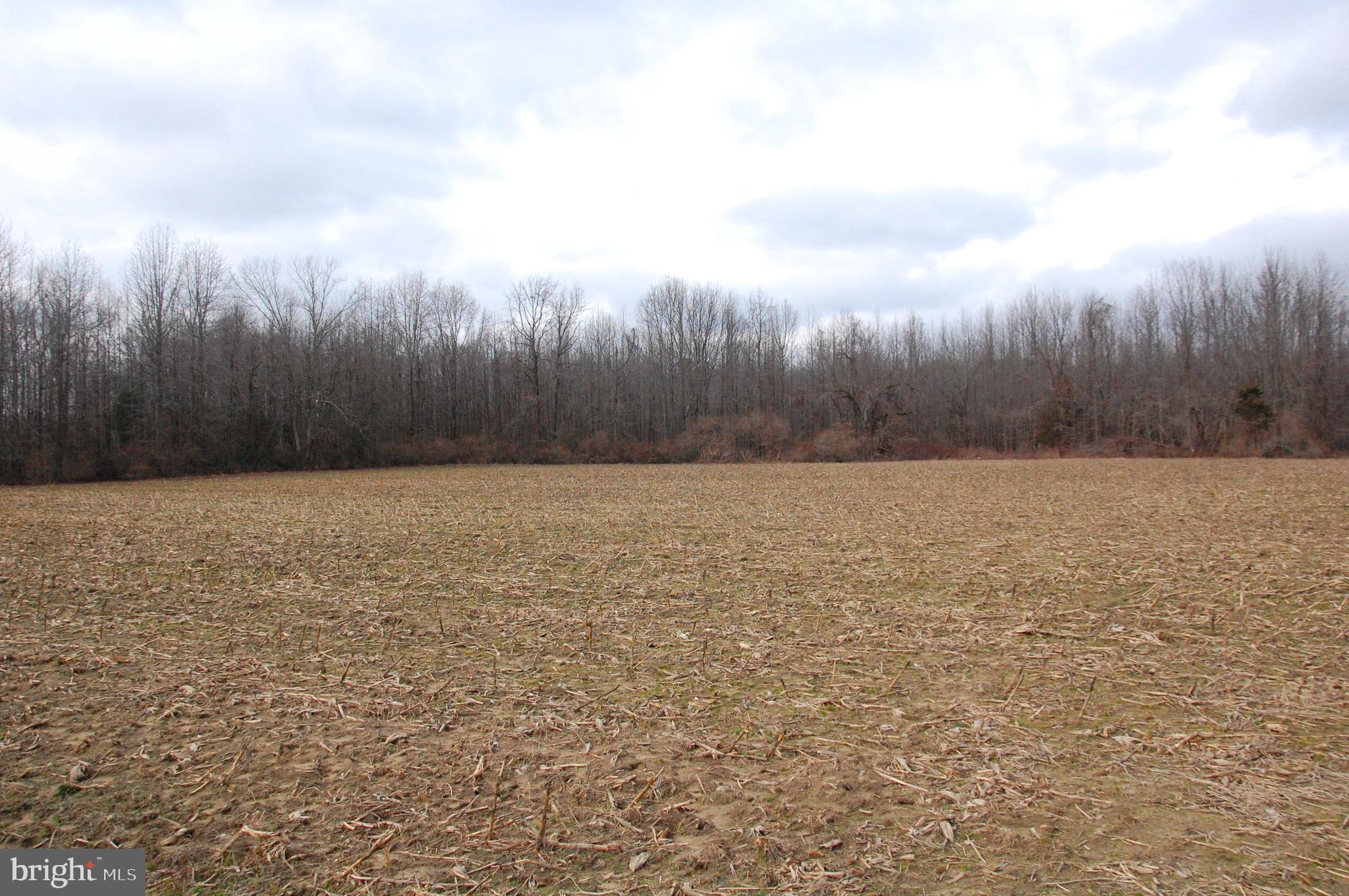 89 Pennsville Auburn Road Pedricktown, NJ 08067 - Photo 19 of 24