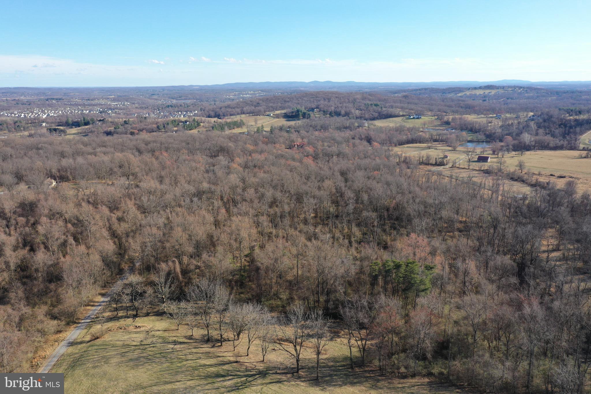 Cherry Grove Lane Round Hill, VA 20141 - Photo 4 of 10