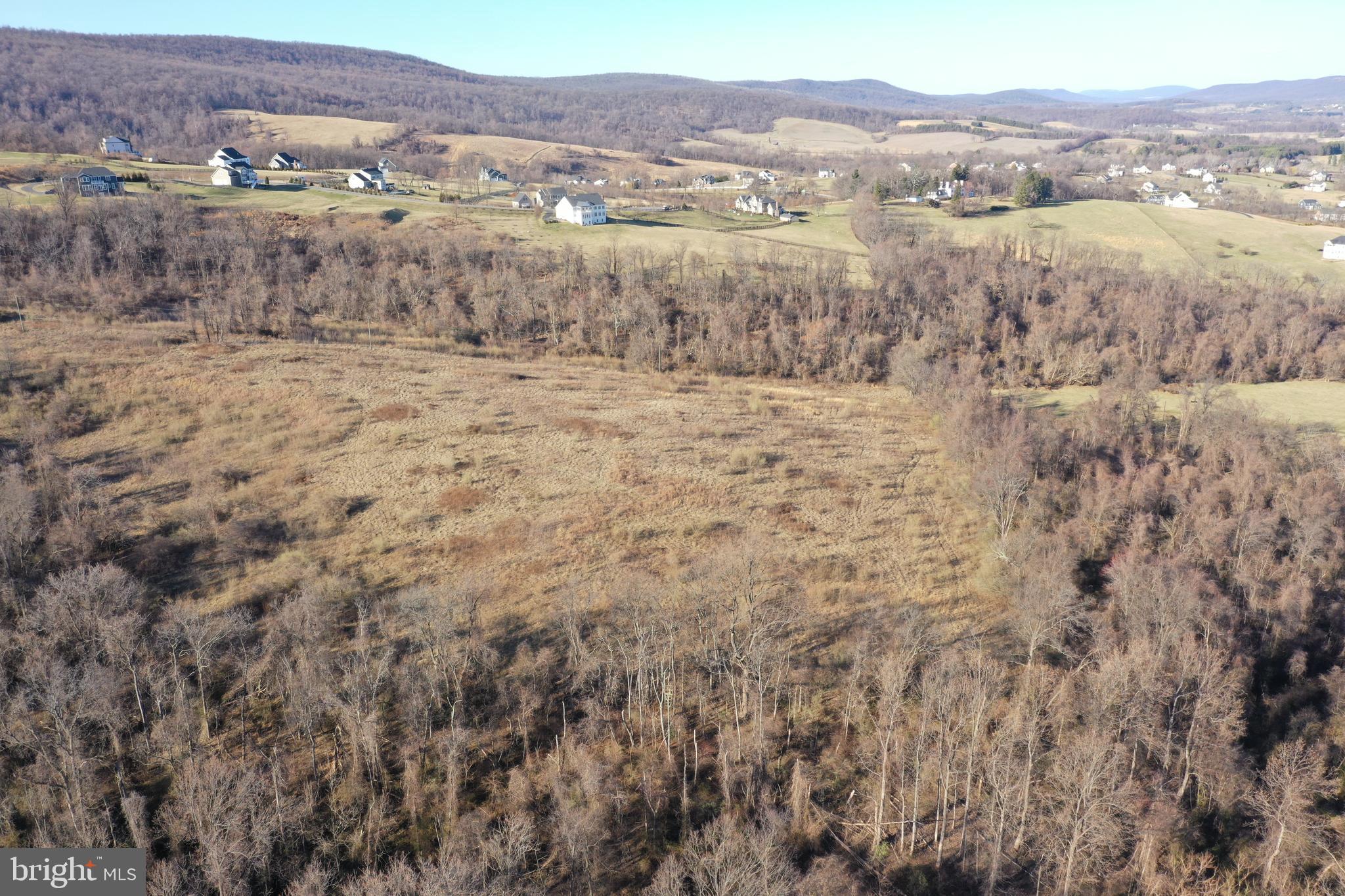 Cherry Grove Lane Round Hill, VA 20141 - Photo 5 of 10