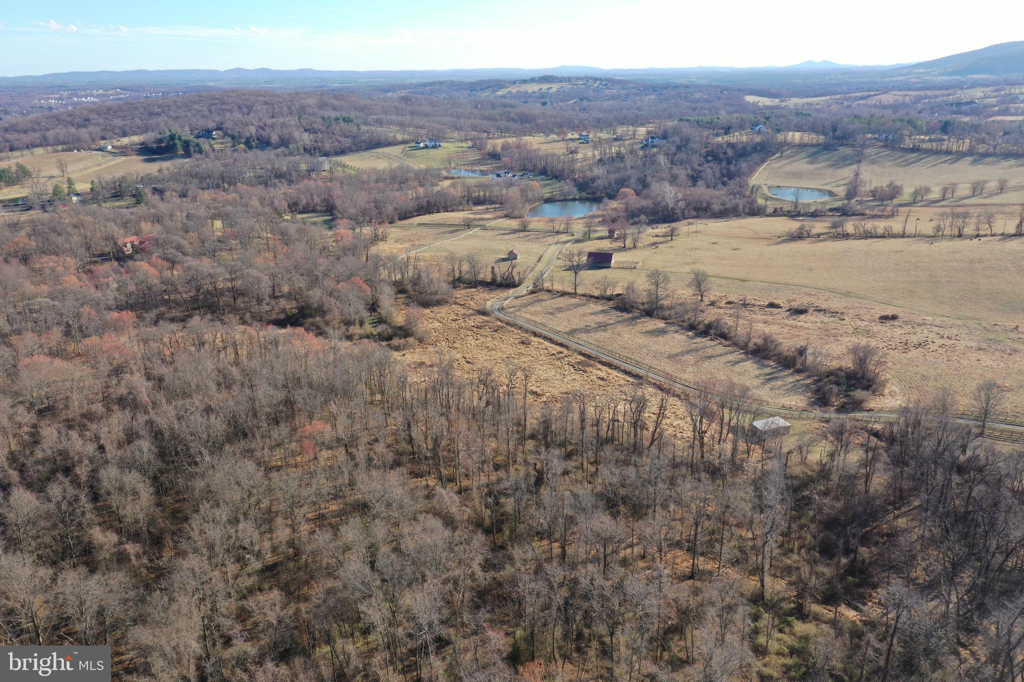 Cherry Grove Lane Round Hill, VA 20141 - Photo 8 of 10