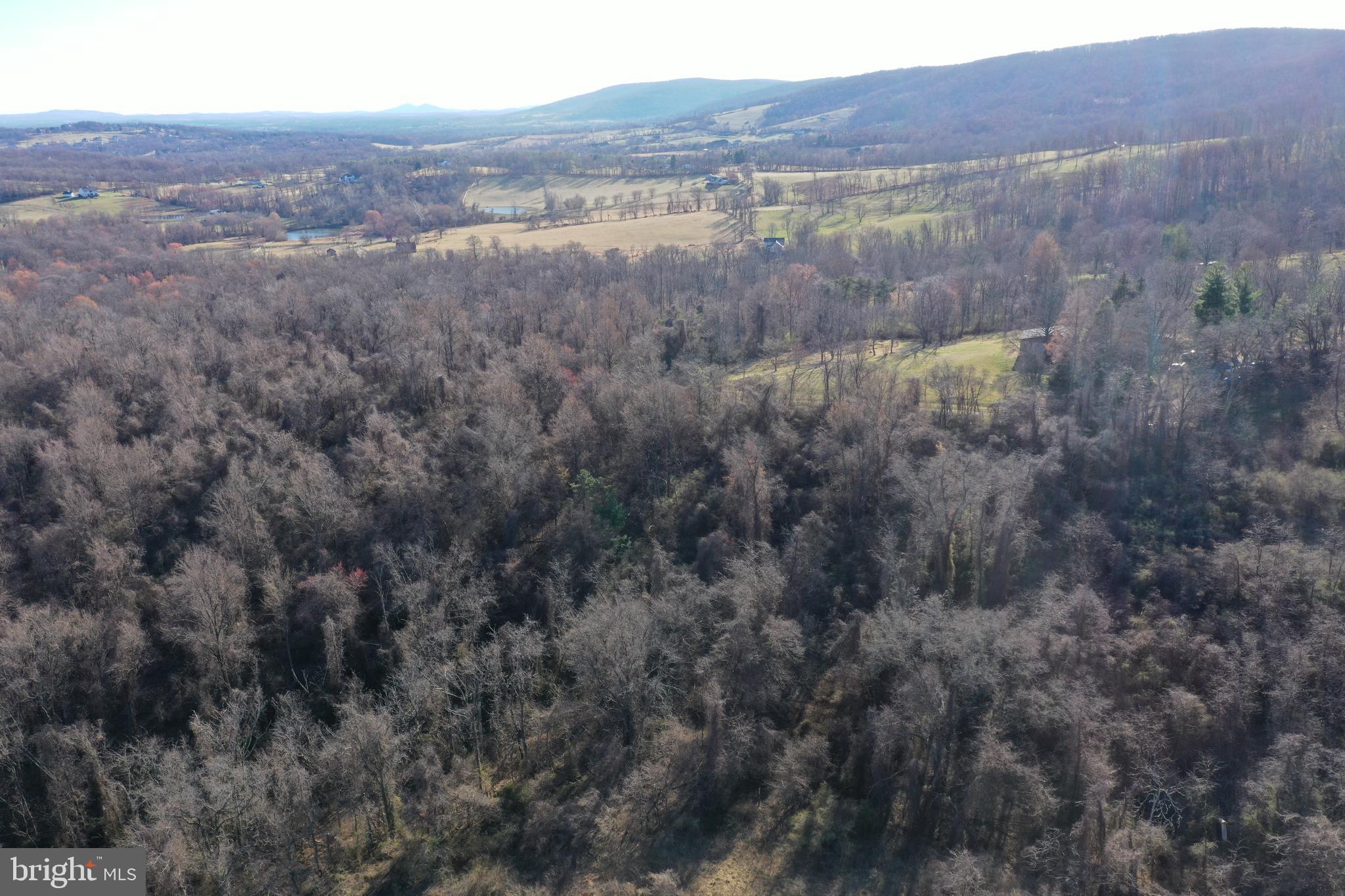 Cherry Grove Lane Round Hill, VA 20141 - Photo 10 of 10