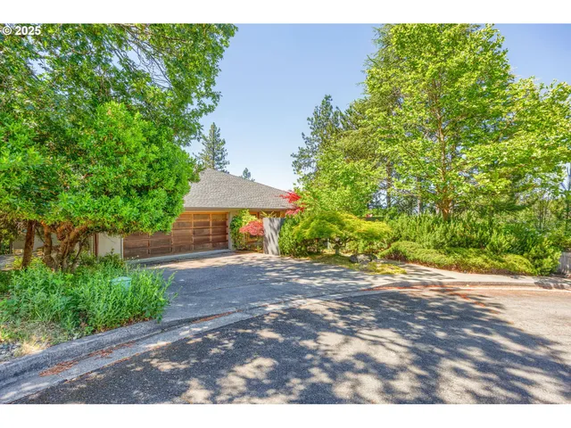 a backyard of a house with plants and trees
