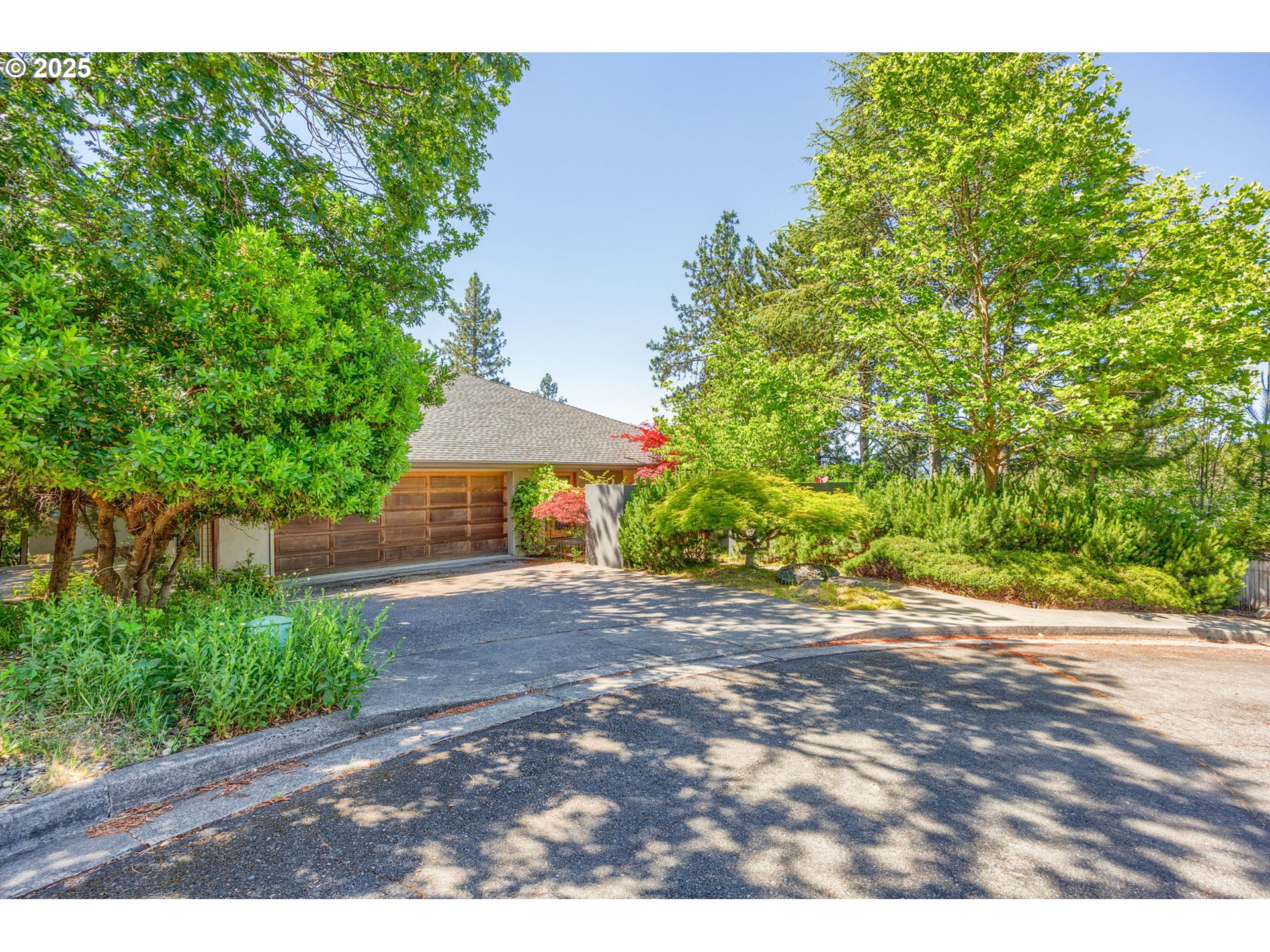 a backyard of a house with plants and trees
