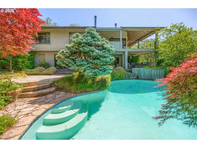 a view of a backyard with potted plants and large tree