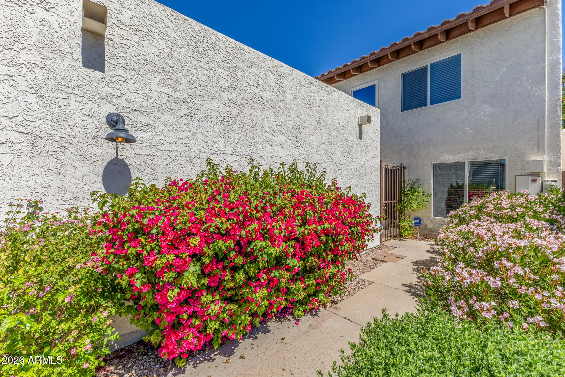 11629 North 40th Way Phoenix, AZ 85028 - Photo 5 of 47 a view of a flower in a garden