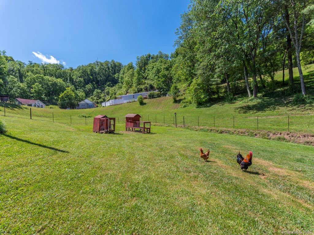 186 Terrell Cove Road Canton, NC 28716 - Photo 22 of 46 a view of a backyard with of plants and trees