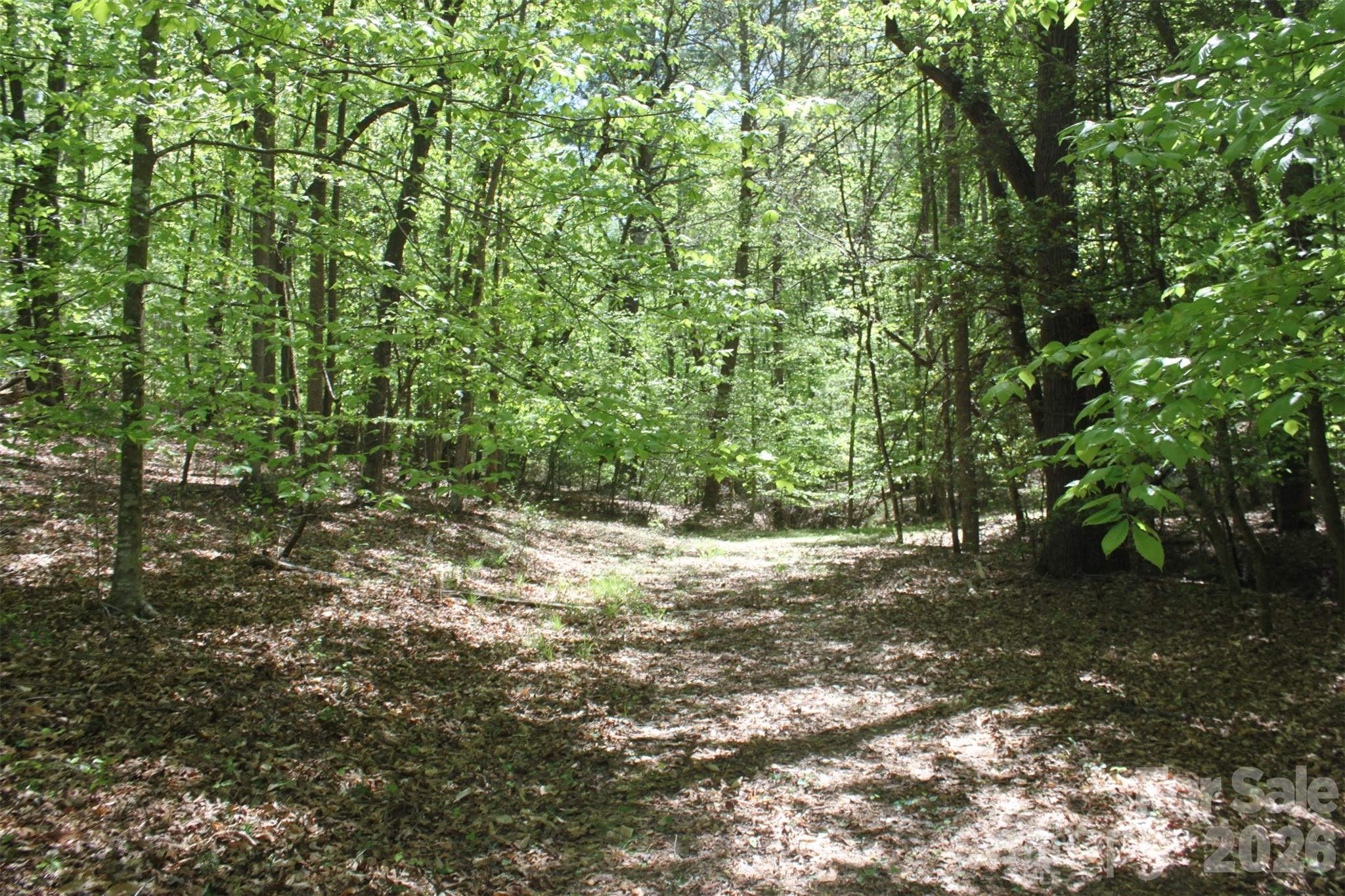 Tbd Austin Traphill Road Elkin, NC 28621 - Photo 12 of 14 a view of a yard with plants and trees
