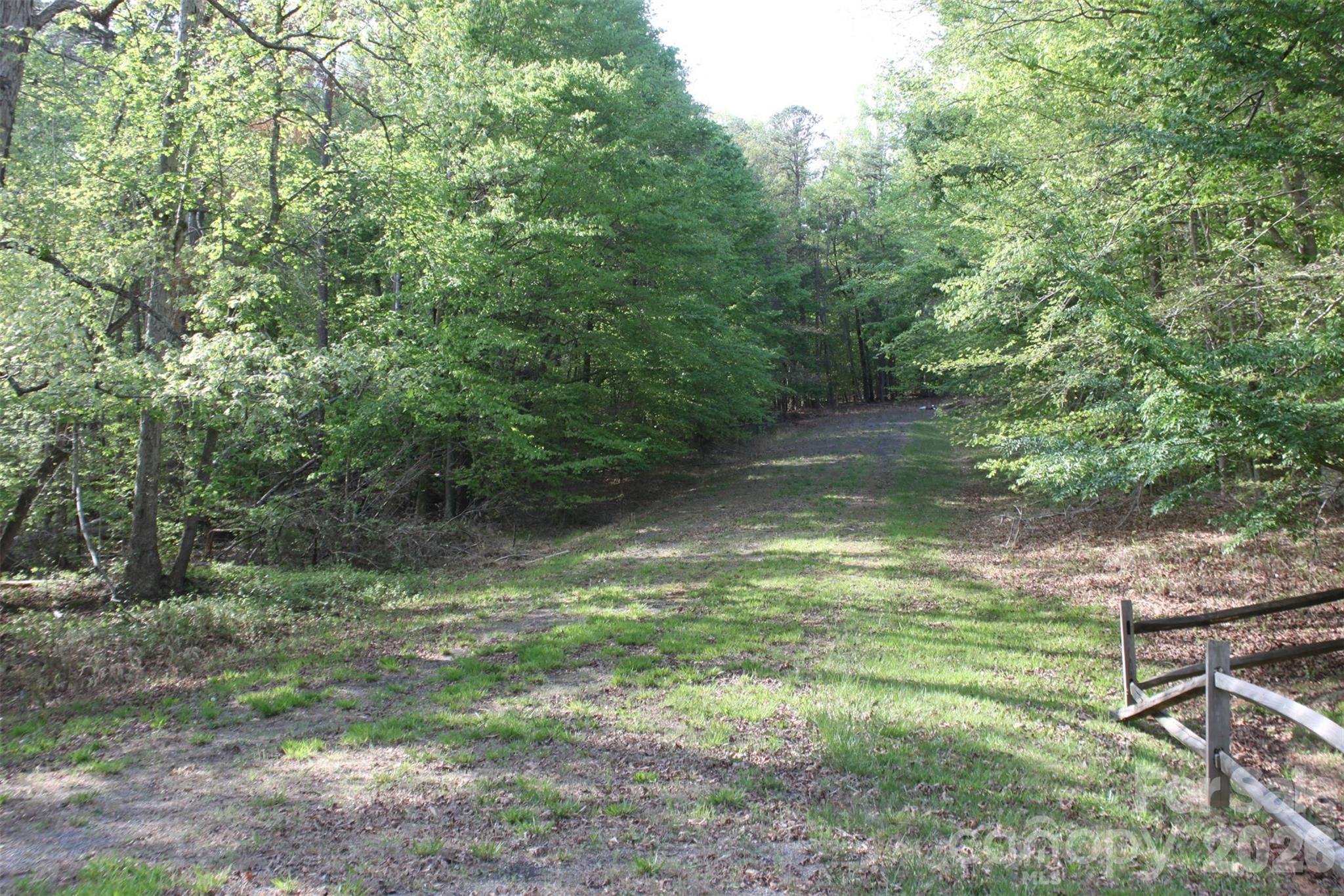 Tbd Austin Traphill Road Elkin, NC 28621 - Photo 2 of 14 a backyard of a house with lots of green space