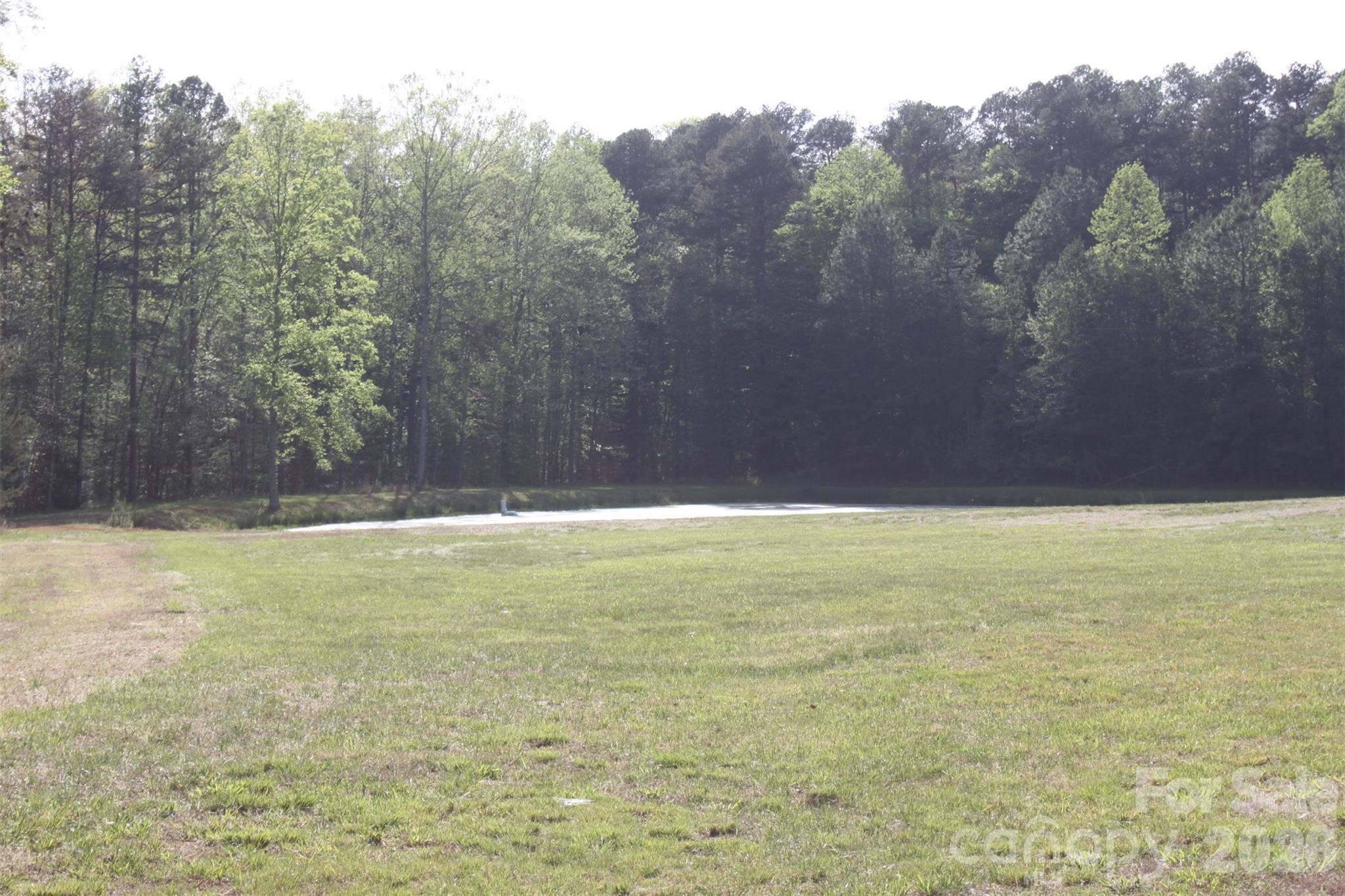 Tbd Austin Traphill Road Elkin, NC 28621 - Photo 6 of 14 a view of a yard