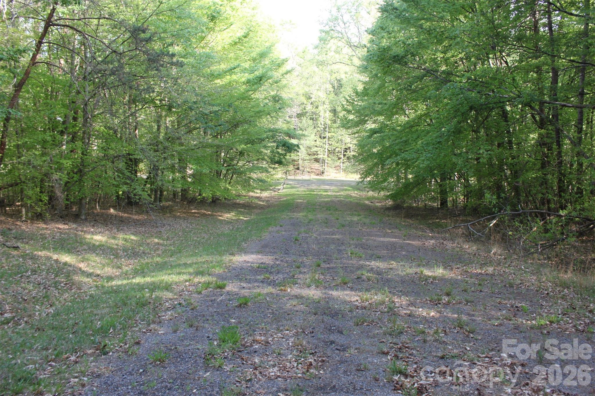 Tbd Austin Traphill Road Elkin, NC 28621 - Photo 8 of 14 a view of a forest with trees in the background