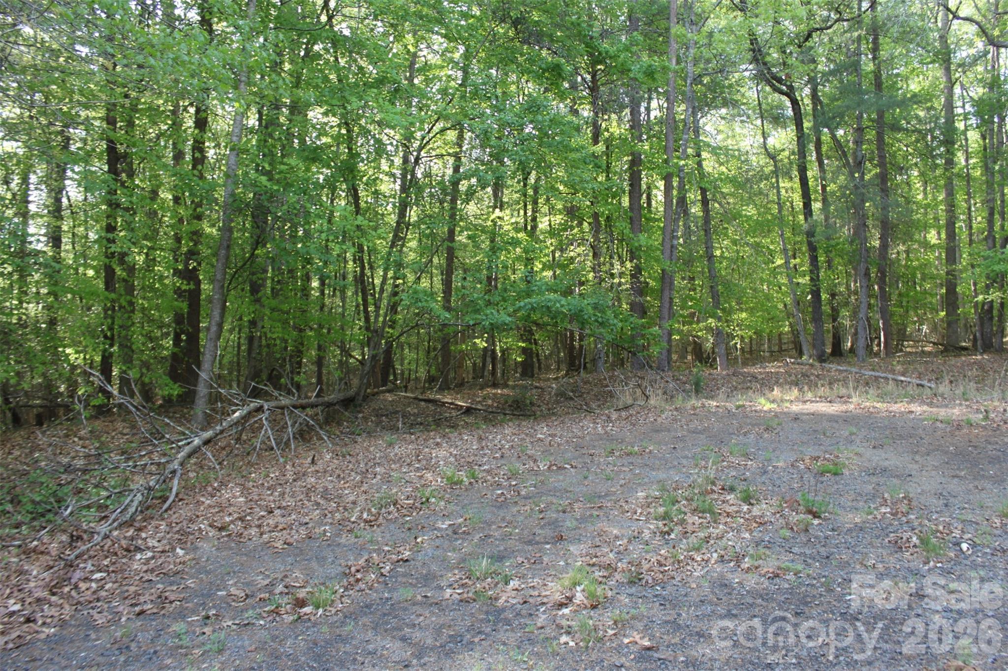 Tbd Austin Traphill Road Elkin, NC 28621 - Photo 9 of 14 a view of a forest with trees in the background