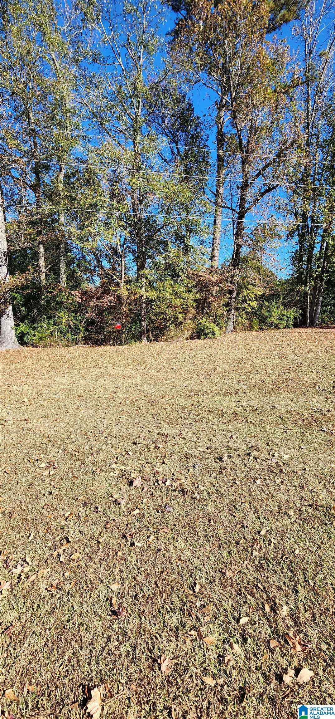 2441 Springville Boulevard Oneonta, AL 35121 - Photo 11 of 36 Gallery Image 11