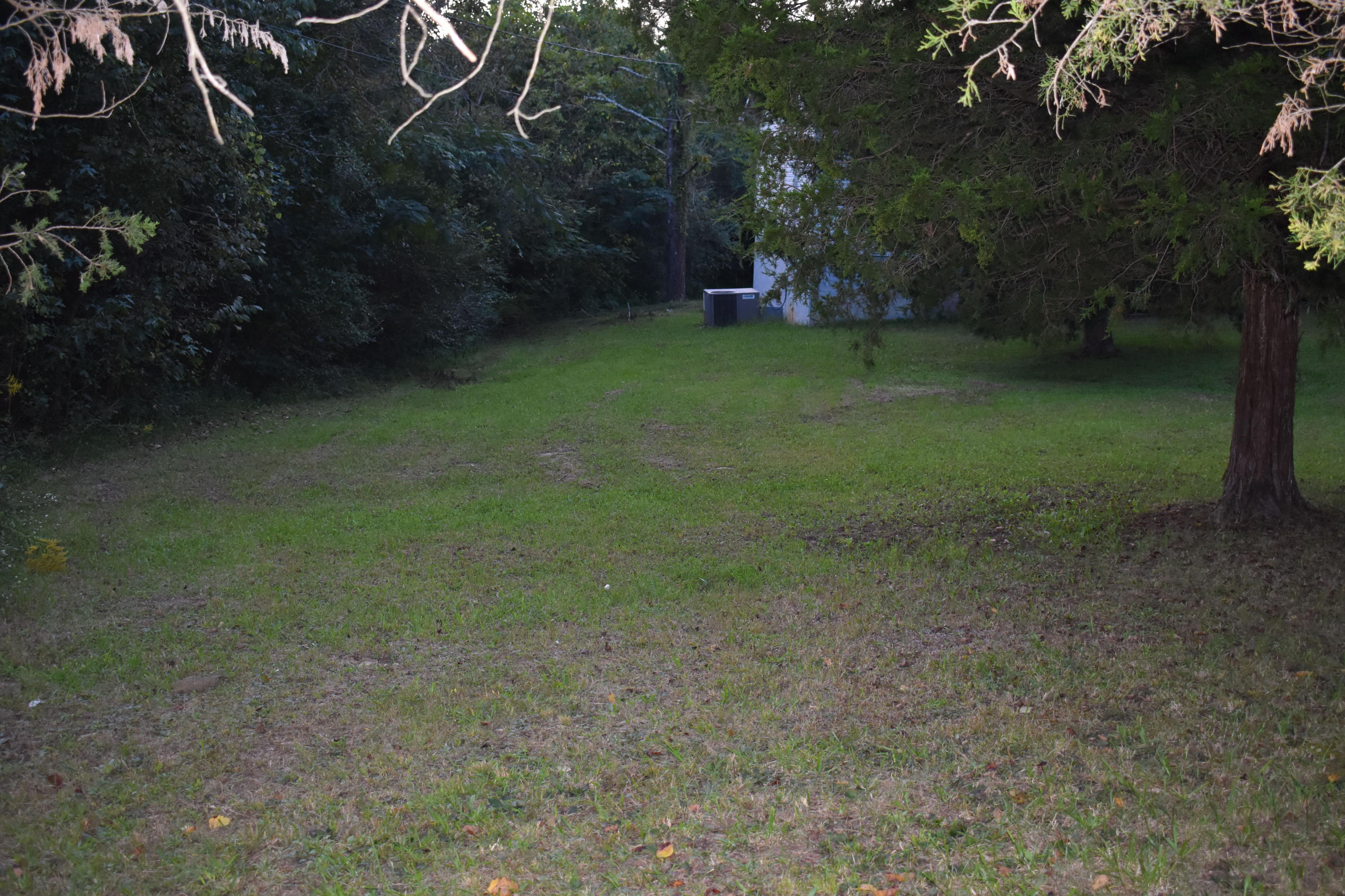 6089 River Road Decatur, TN 37322 - Photo 29 of 48 DSC_1142