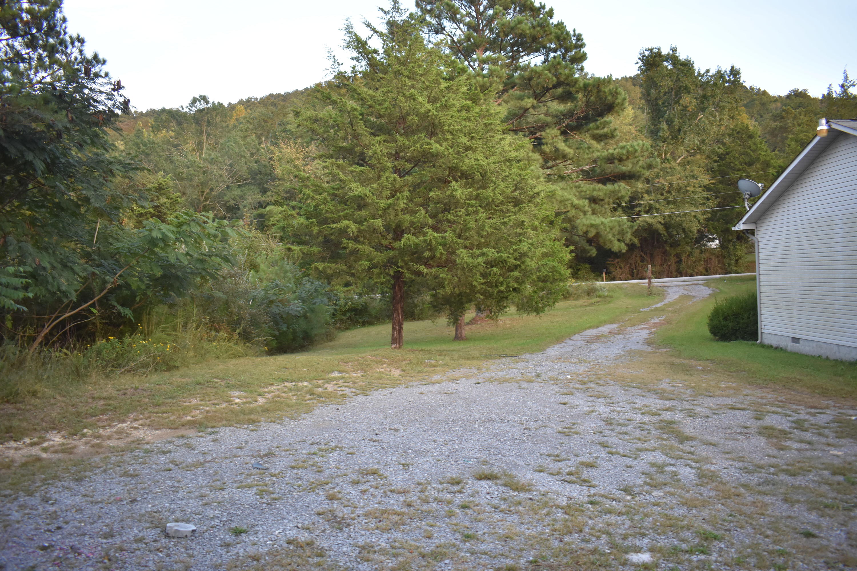6089 River Road Decatur, TN 37322 - Photo 34 of 48 DSC_1152