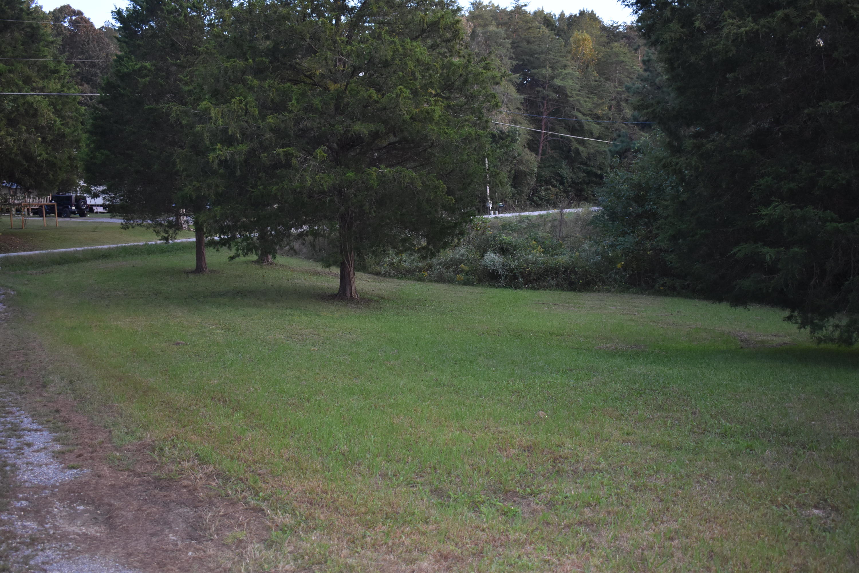 6089 River Road Decatur, TN 37322 - Photo 35 of 48 DSC_1133
