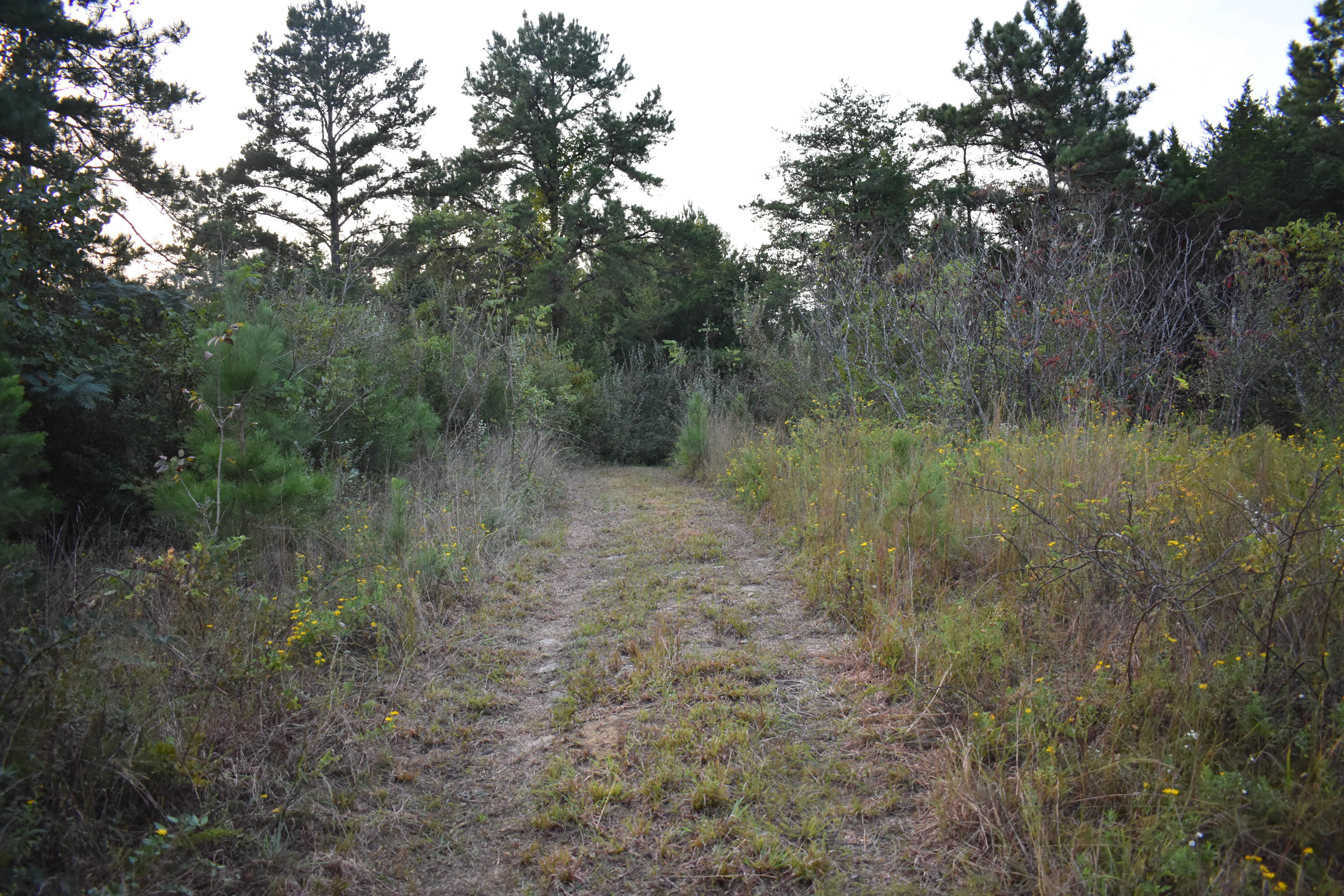 6089 River Road Decatur, TN 37322 - Photo 36 of 48 DSC_1158