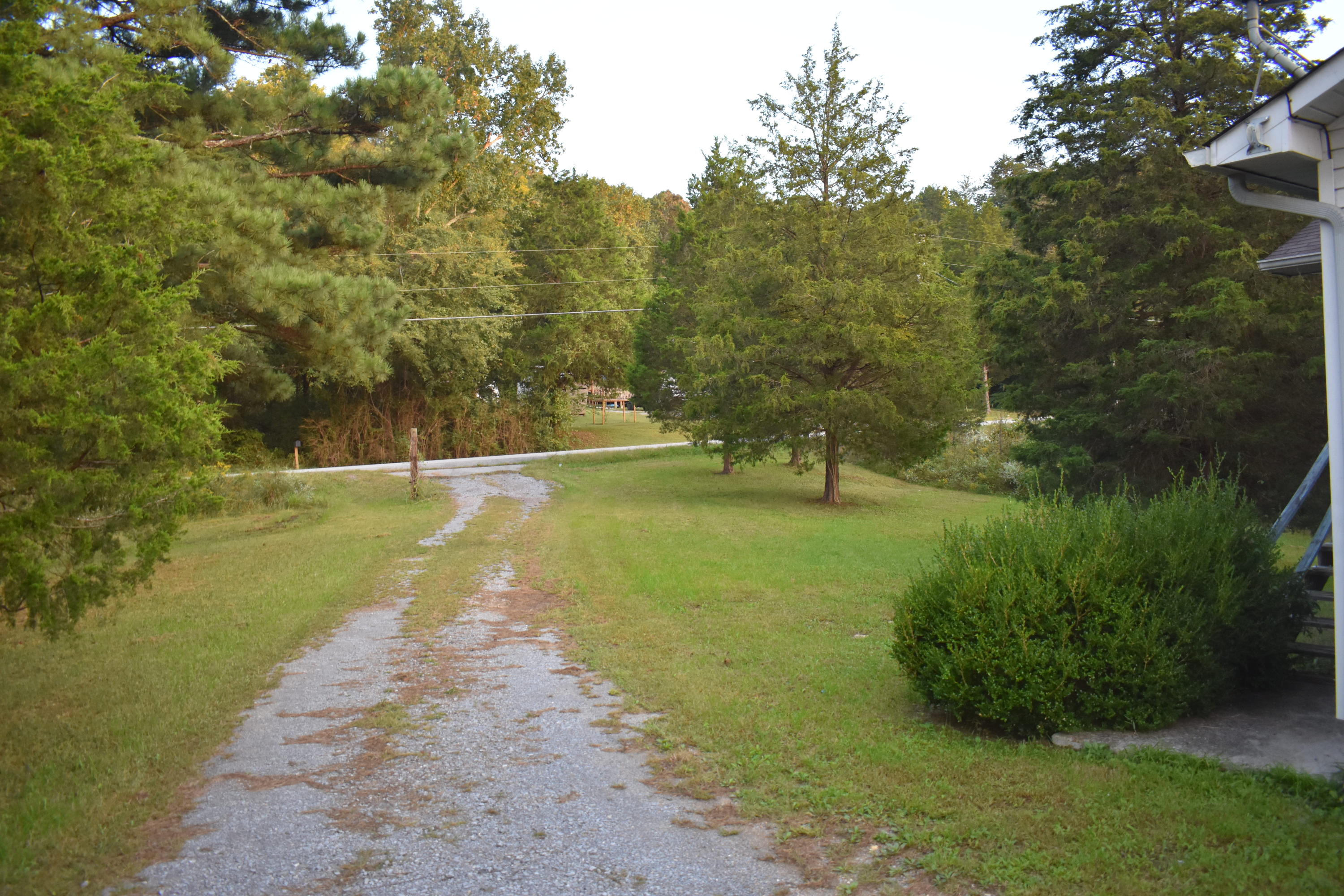 6089 River Road Decatur, TN 37322 - Photo 37 of 48 DSC_1132