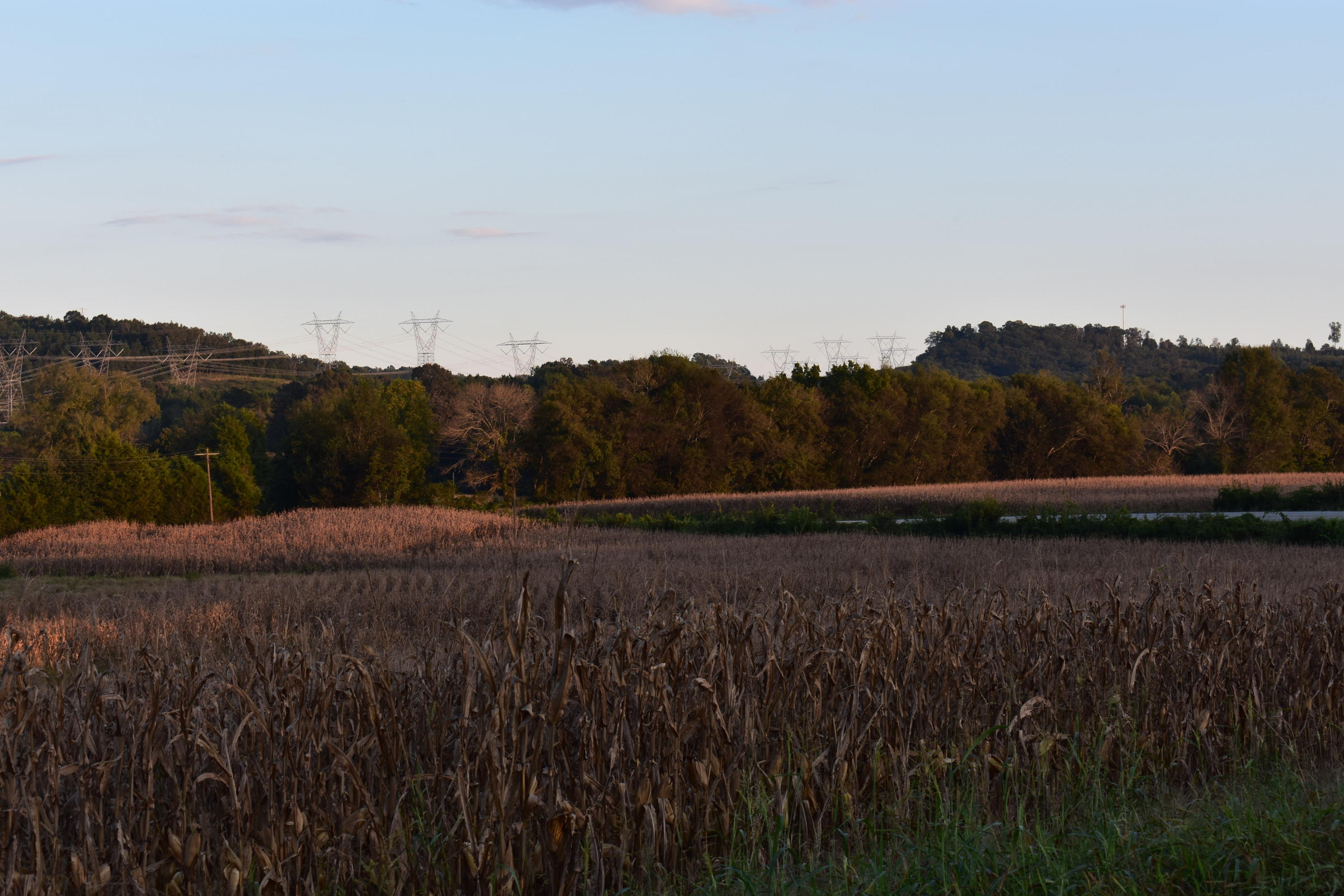6089 River Road Decatur, TN 37322 - Photo 42 of 48 DSC_1227