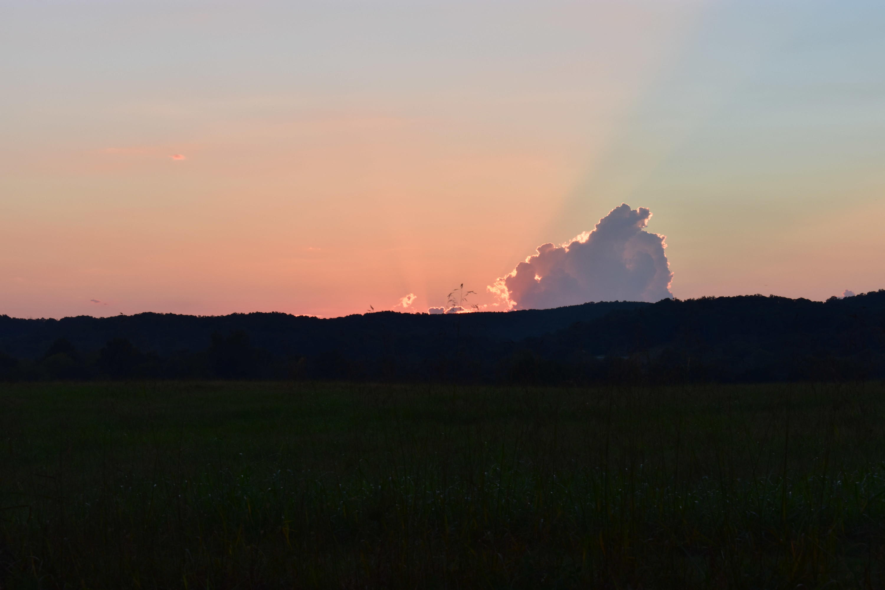 6089 River Road Decatur, TN 37322 - Photo 48 of 48 DSC_1240