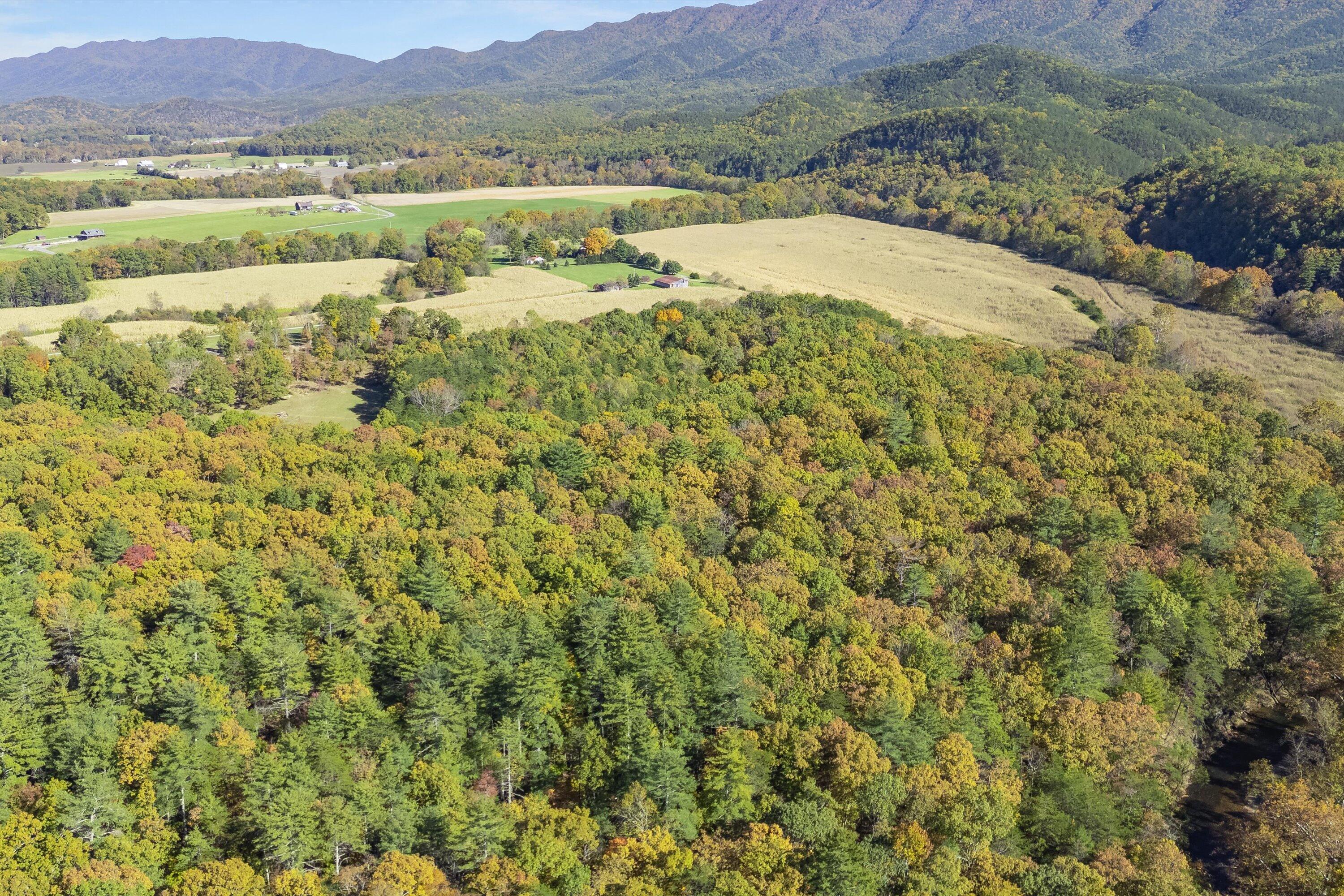 0 Poor House Road New Castle, VA 24127 - Photo 11 of 26 10-00 Hawkins Ln_10