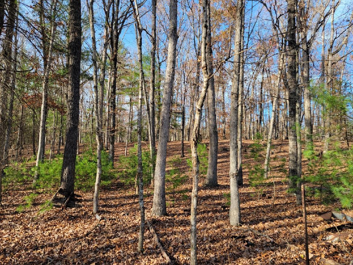0 Poor House Road New Castle, VA 24127 - Photo 24 of 26 PH4