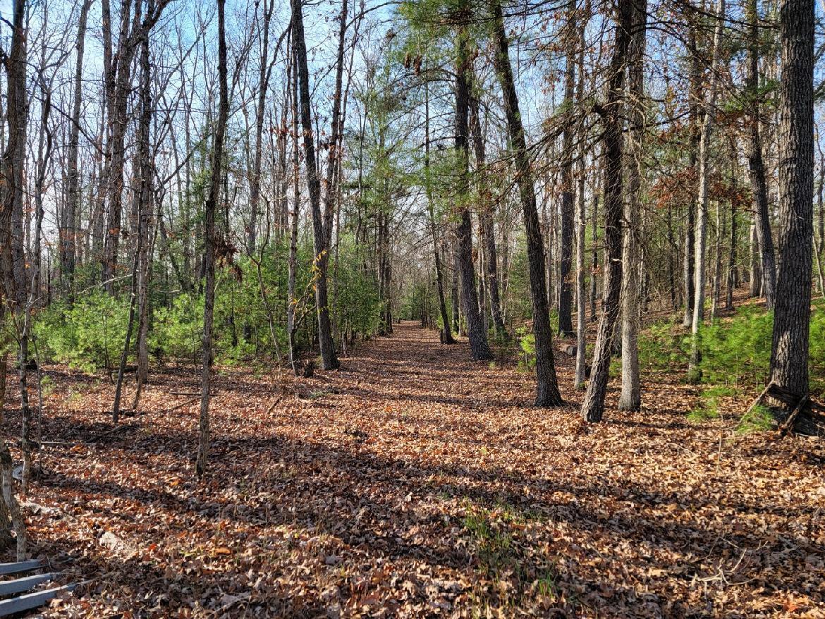 0 Poor House Road New Castle, VA 24127 - Photo 25 of 26 PH5