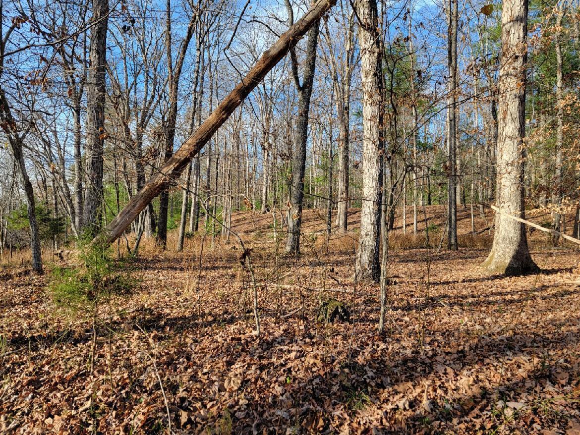 0 Poor House Road New Castle, VA 24127 - Photo 26 of 26 PH6