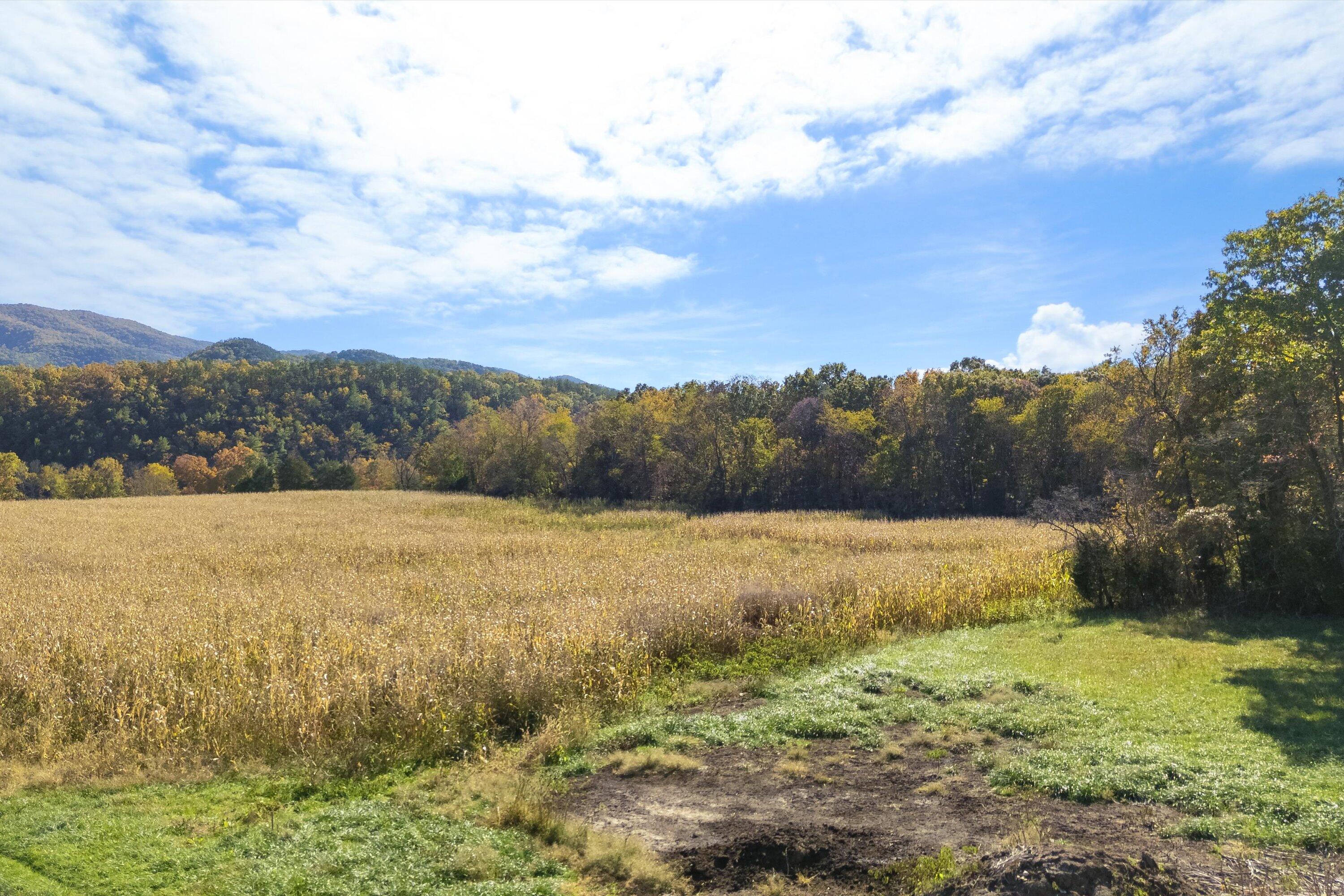 0 Poor House Road New Castle, VA 24127 - Photo 4 of 26 03-00 Hawkins Ln_03