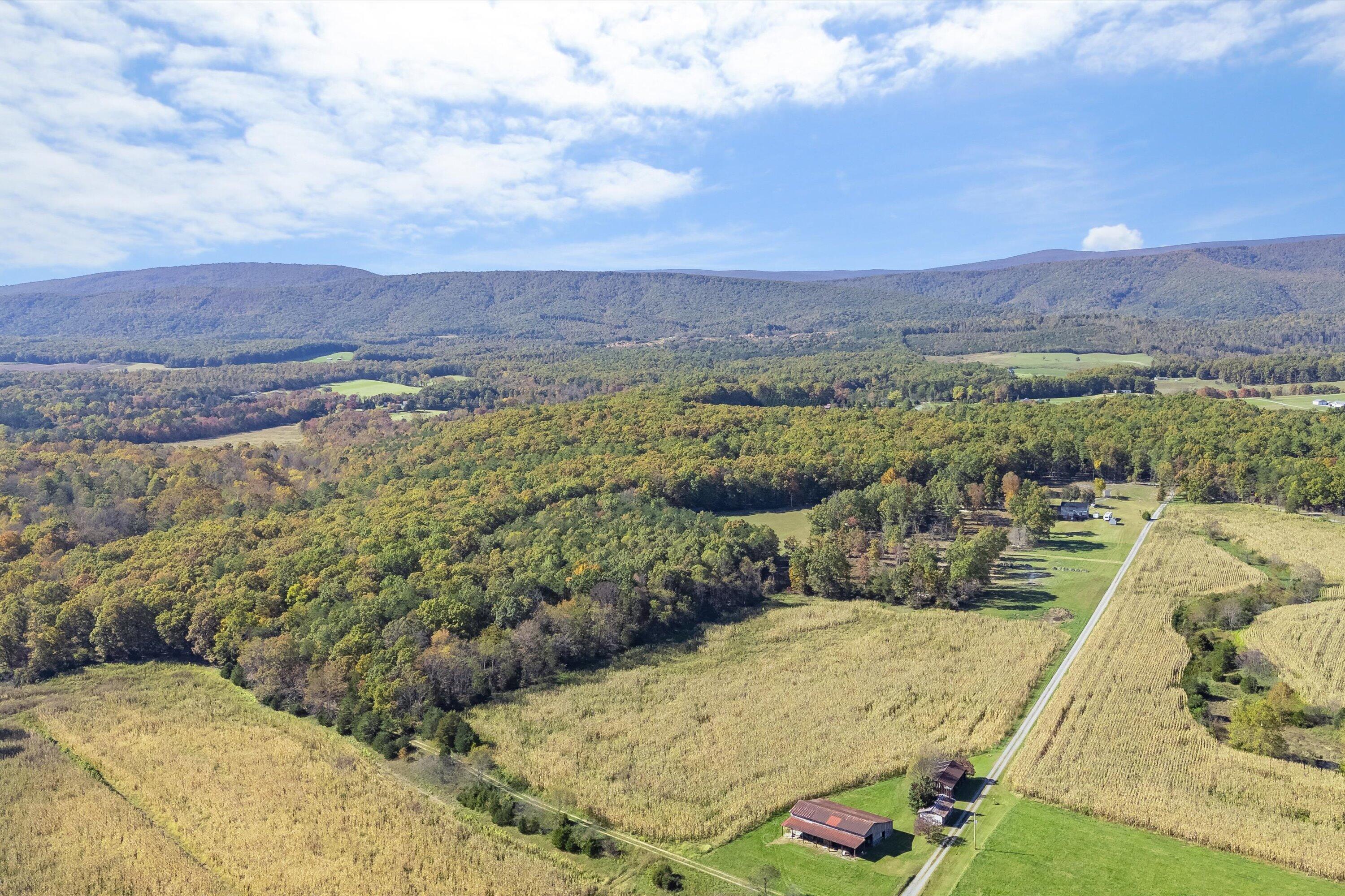 0 Poor House Road New Castle, VA 24127 - Photo 6 of 26 05-00 Hawkins Ln_05