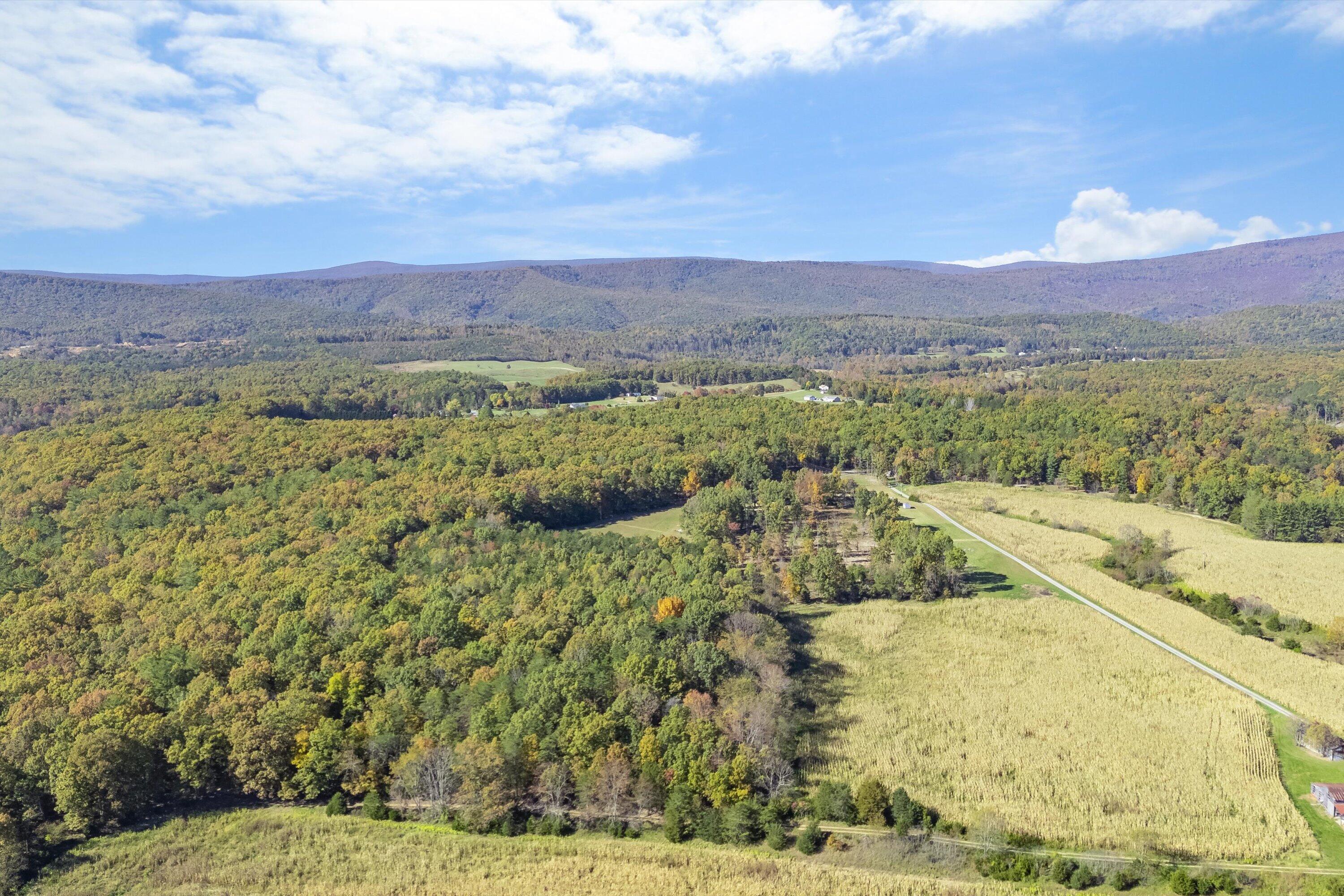 0 Poor House Road New Castle, VA 24127 - Photo 7 of 26 06-00 Hawkins Ln_06