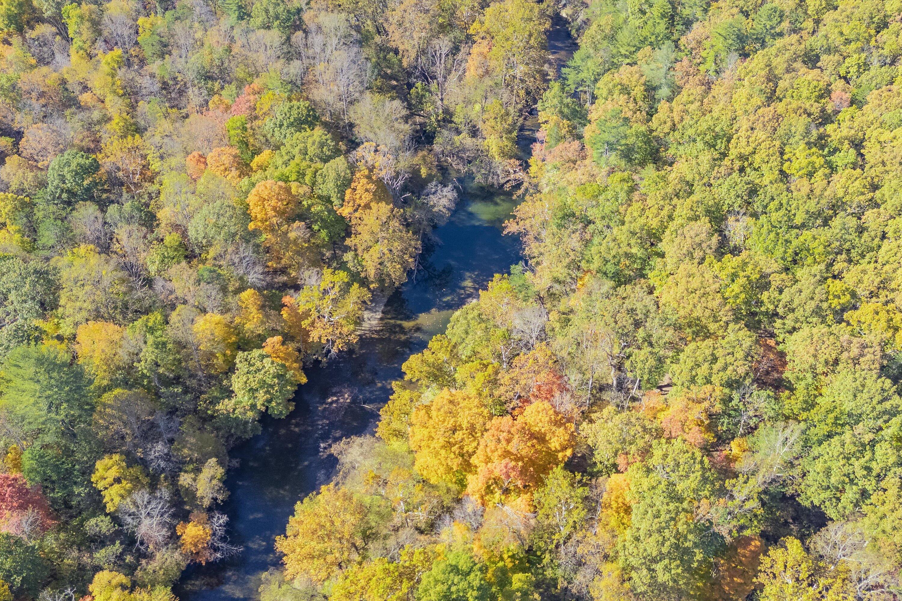 0 Poor House Road New Castle, VA 24127 - Photo 8 of 26 07-00 Hawkins Ln_07