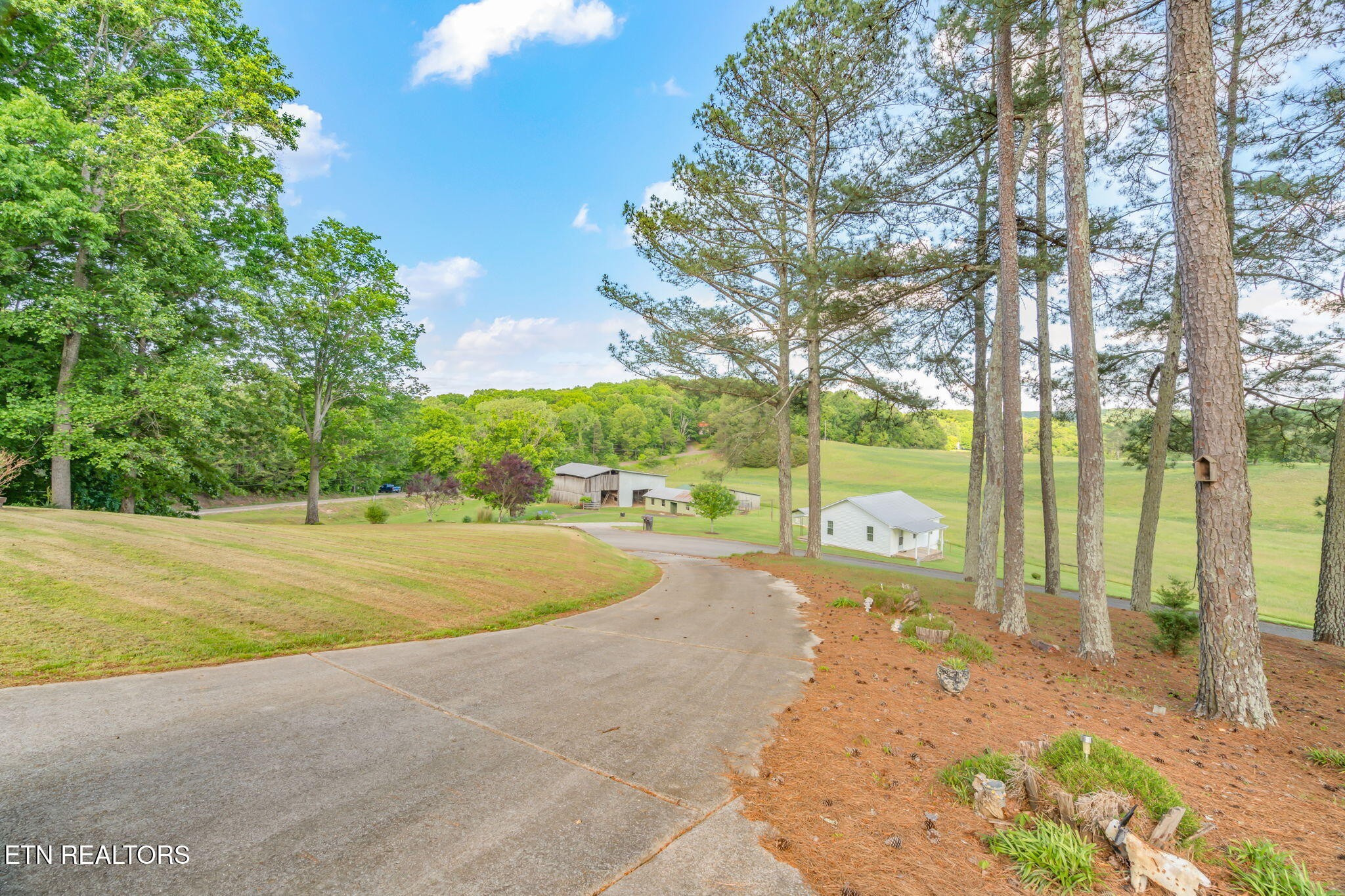 108 Pattie Gap Road Philadelphia, TN 37846 - Photo 43 of 59 Gallery Image 43