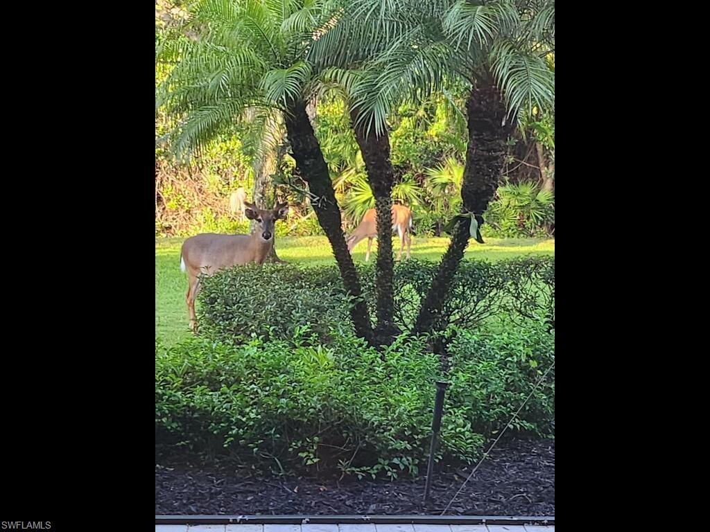 6445 Costa Circle Naples, FL 34113 - Photo 26 of 39