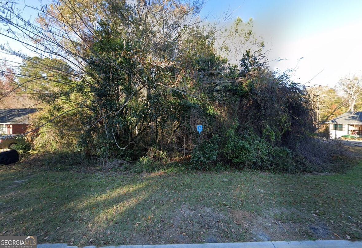 216 Deer Road Springfield, GA 31329 - Photo 2 of 6 a view of a forest with trees in the background