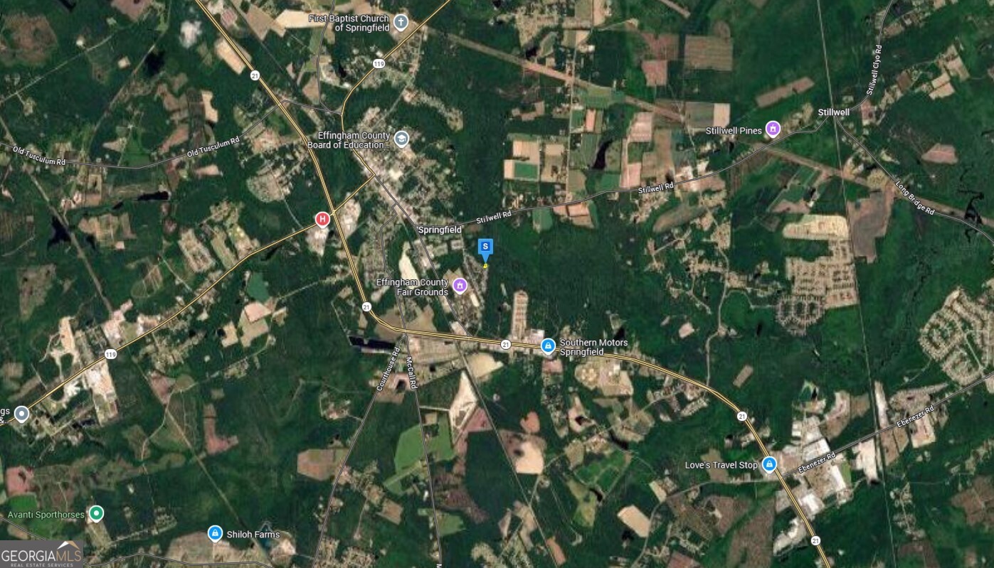 216 Deer Road Springfield, GA 31329 - Photo 5 of 6 a picture of tree