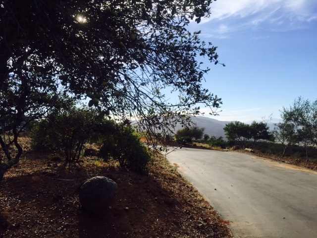 38962 Magee Road Pala, CA 92059 - Photo 18 of 25