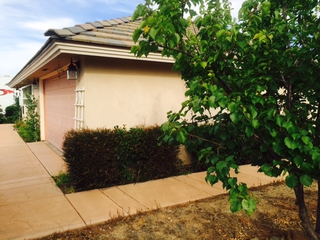 38962 Magee Road Pala, CA 92059 - Photo 7 of 25