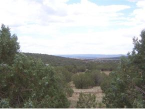 3229 Double A Ranch Road Ash Fork, AZ 86320 - Photo 3 of 12 a view of a green field
