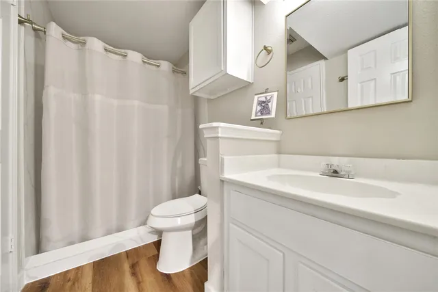 a bathroom with a sink a toilet and a mirror