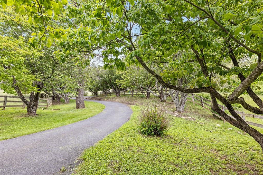 188 Middlebrook Road Staunton, VA 24401 - Photo 69 of 75 a view of a lake with a yard