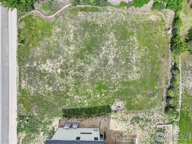 a view of a yard with plants and large trees