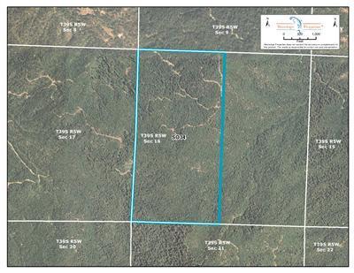 0 Lone Creek Road Williams, OR 97544 - Photo 1 of 1 Primary Photo