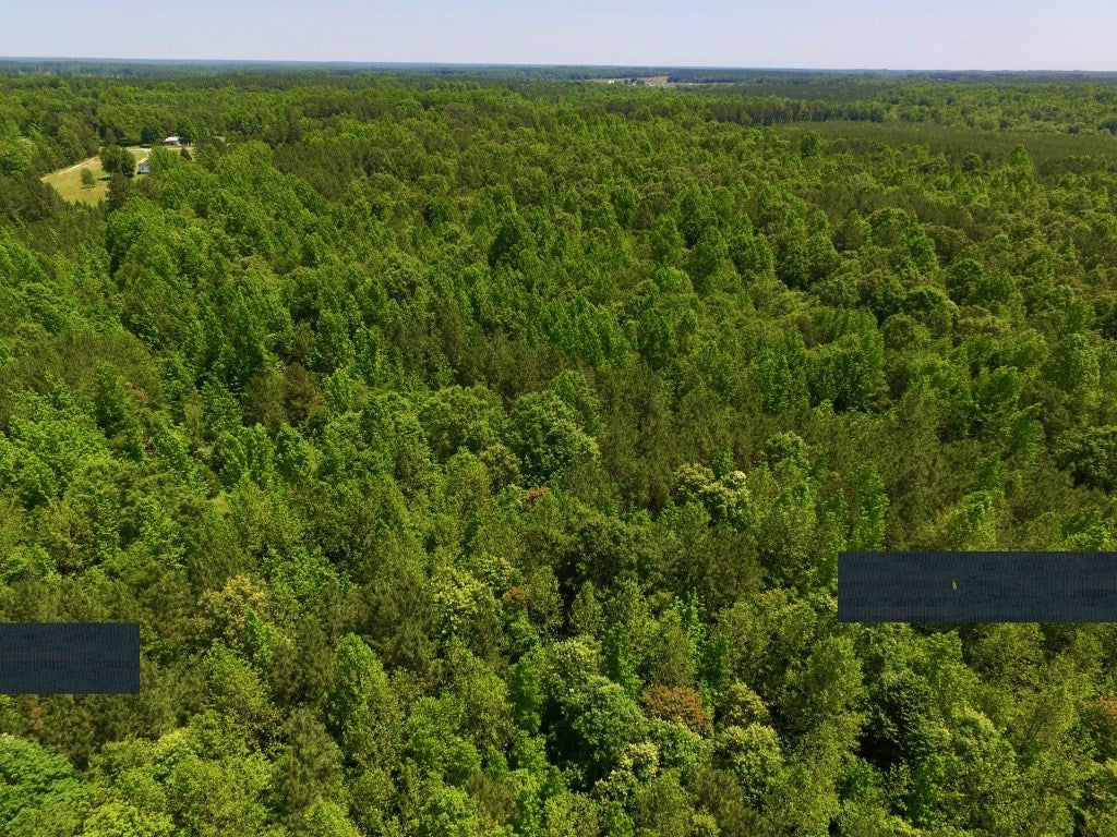 604 Sugar Hill Road Kenbridge, VA 23944 - Photo 15 of 26 Gallery Image 15