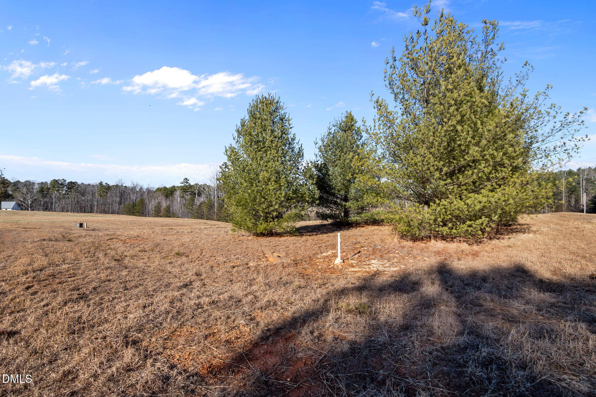 2-acres Fishers Court Roxboro, NC 27574 - Photo 11 of 14 a view of a dry yard