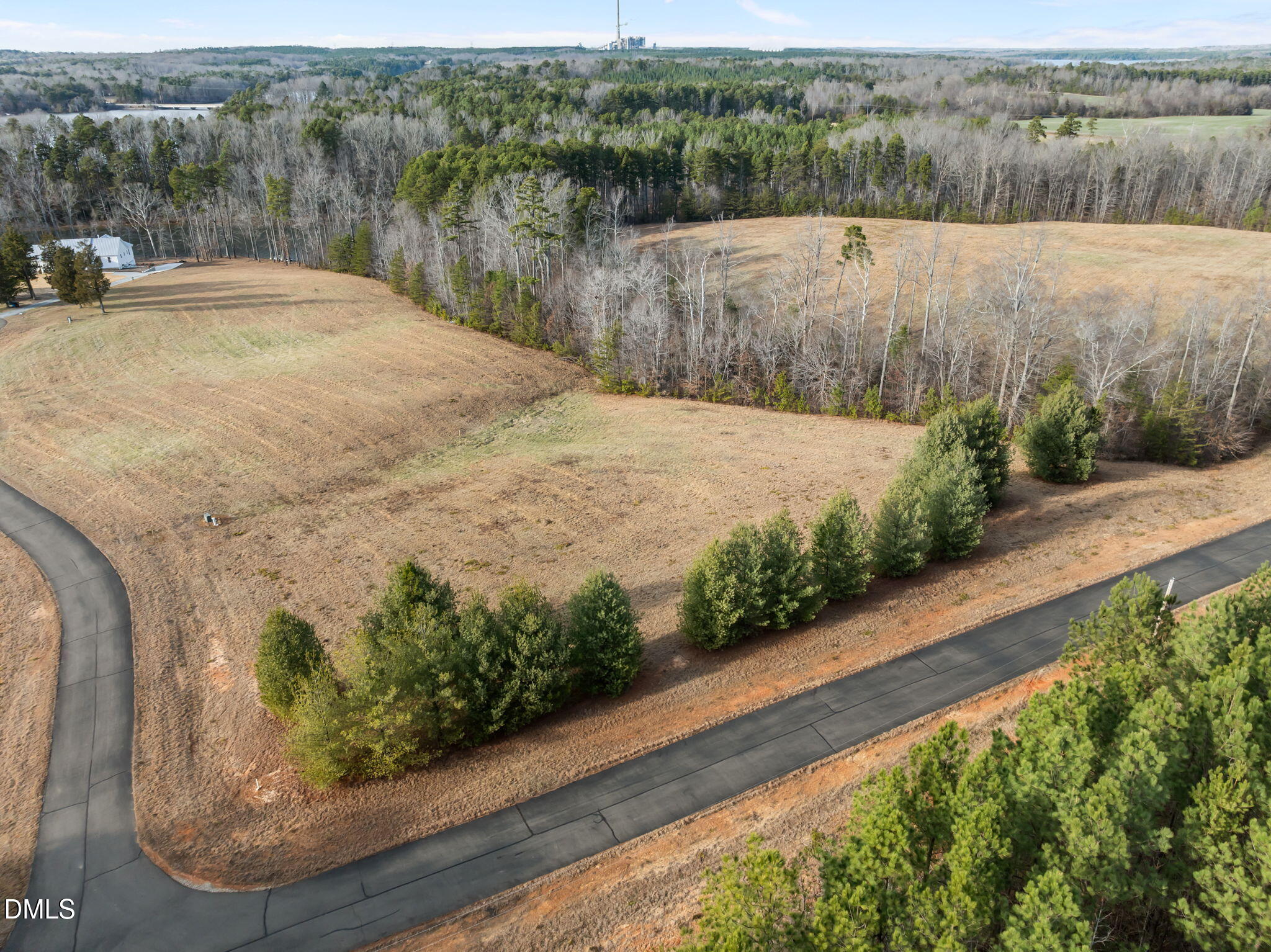 2-acres Fishers Court Roxboro, NC 27574 - Photo 13 of 14 a view of a back yard