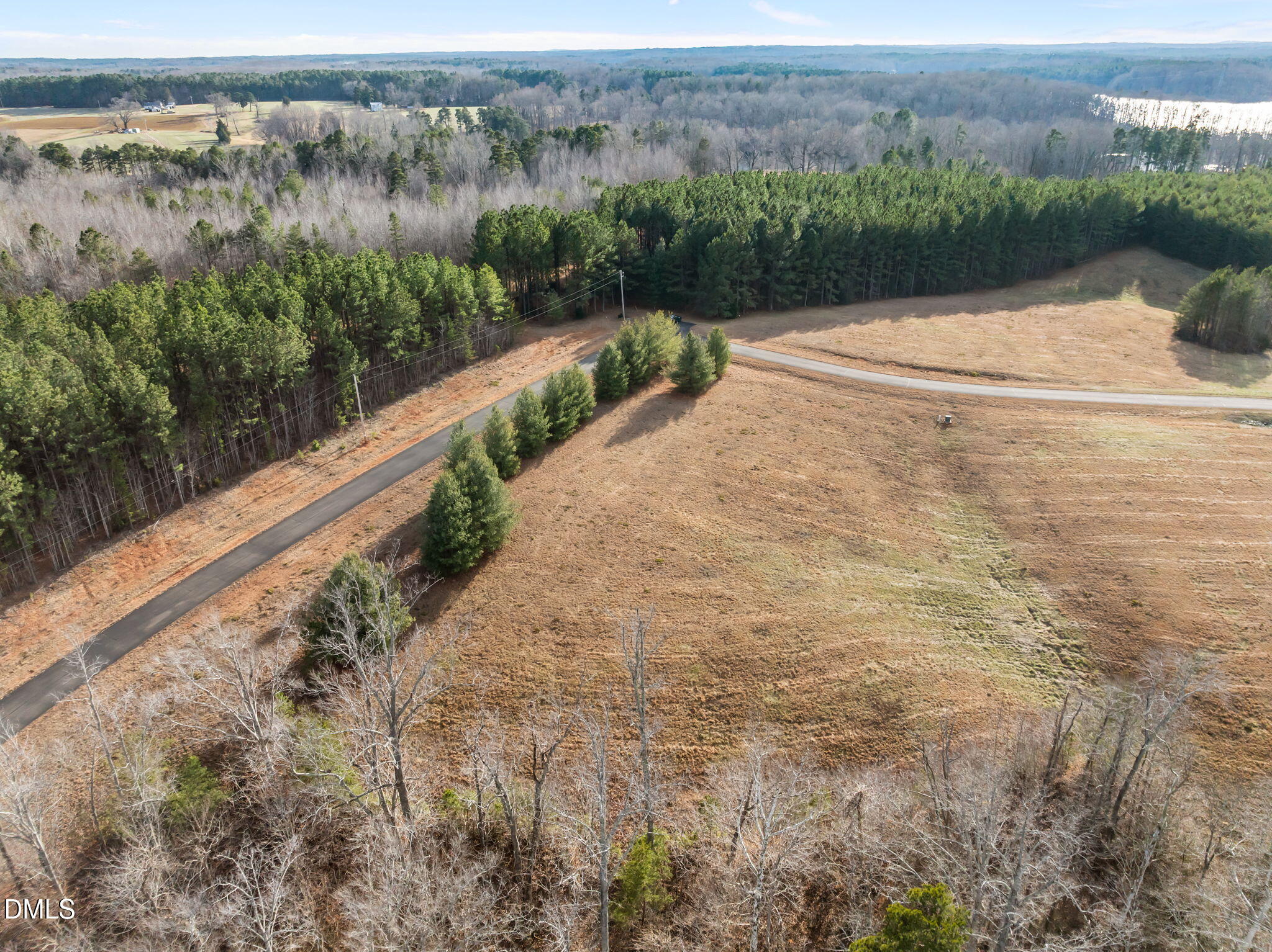 2-acres Fishers Court Roxboro, NC 27574 - Photo 8 of 14 a view of a yard with an outdoor space