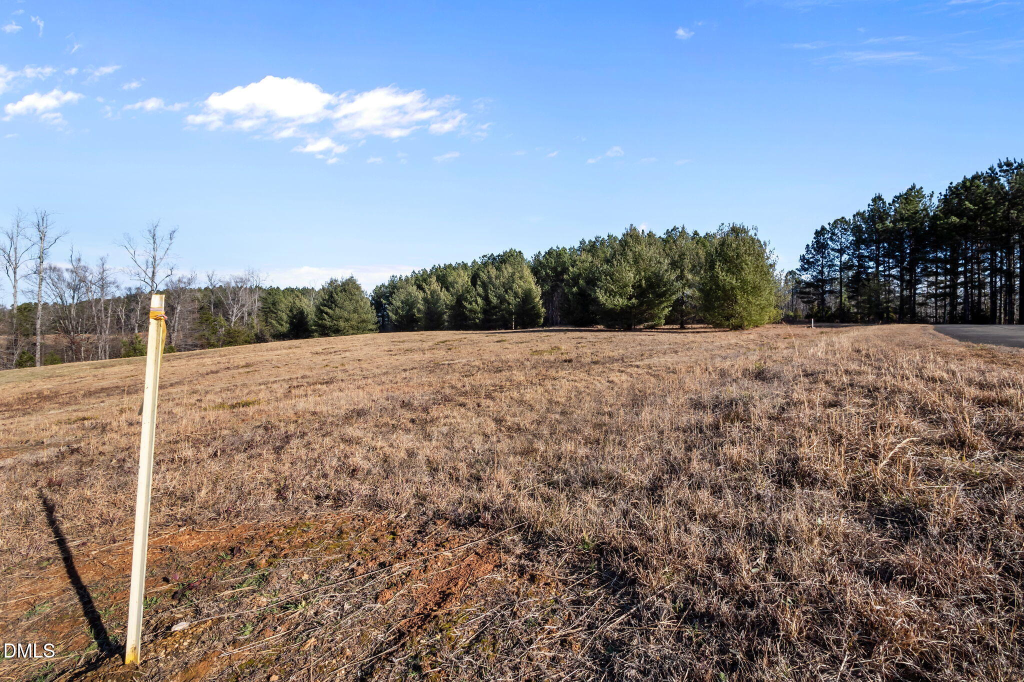 2-acres Fishers Court Roxboro, NC 27574 - Photo 9 of 14 a view of an outdoor space and a yard