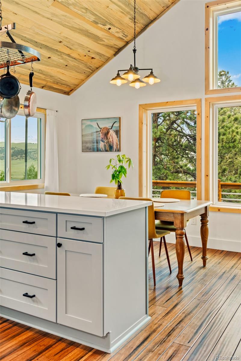 1280 Redhill Road Fairplay, CO 80440 - Photo 24 of 44 Gallery Image 24