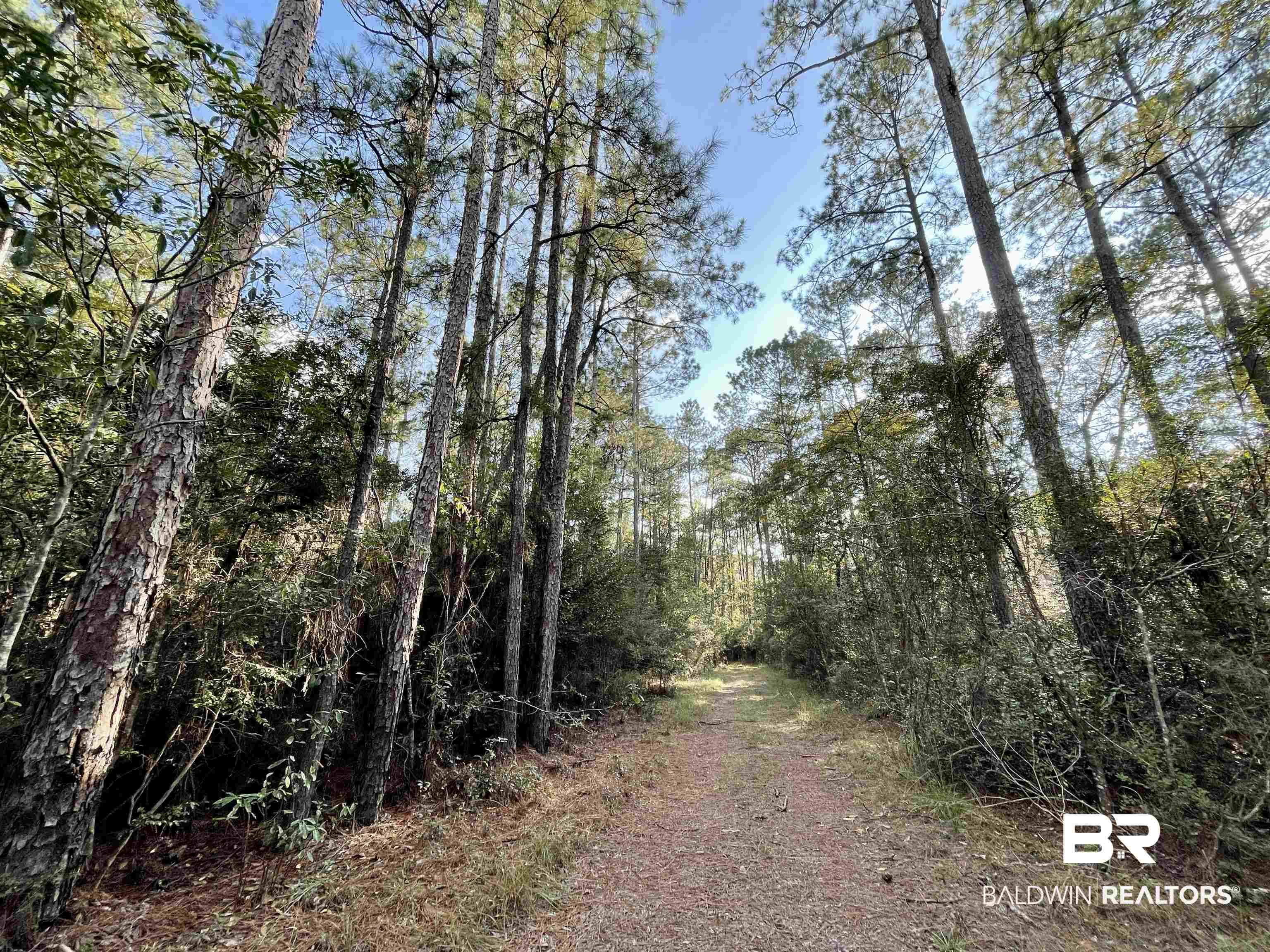 0 Country Road Vinegar Bend, AL 36584 - Photo 7 of 46