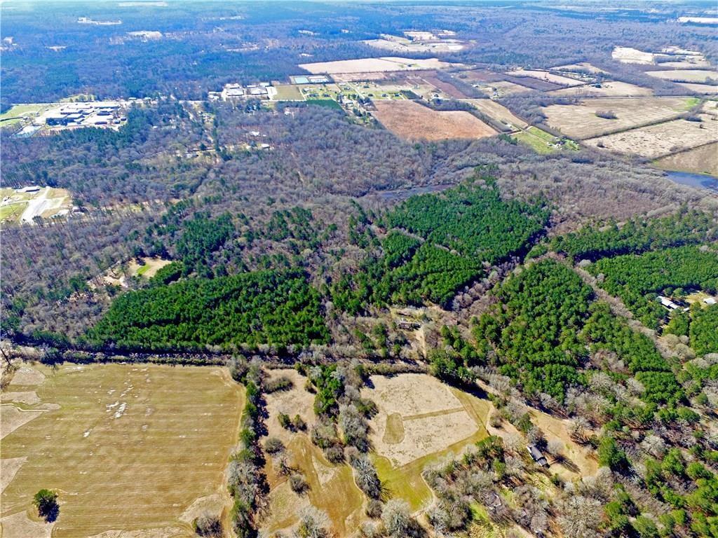 0 Willie Wells Road Deville, LA 71328 - Photo 1 of 1